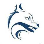 Wolf of Seo Logo